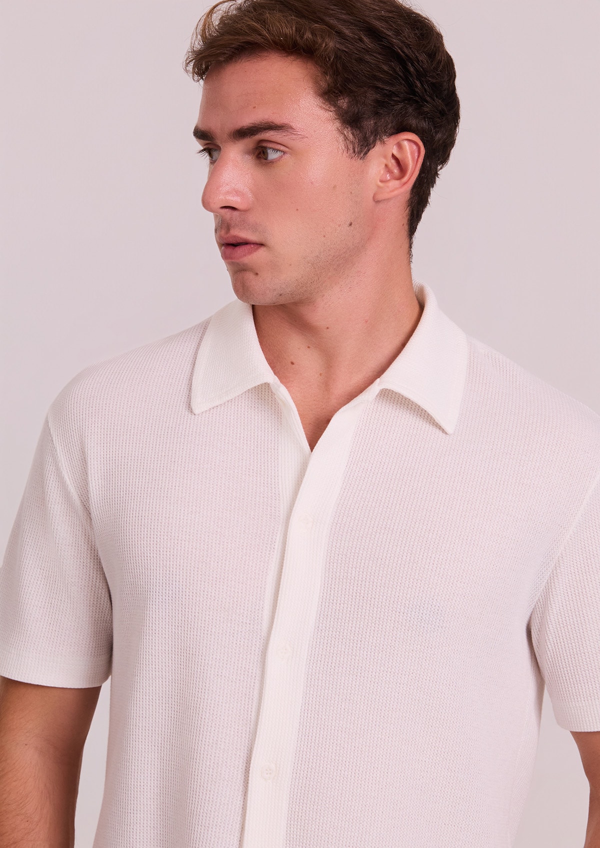 image_e6278ba8-966d-4fad-8b49-f65c3b20ba63