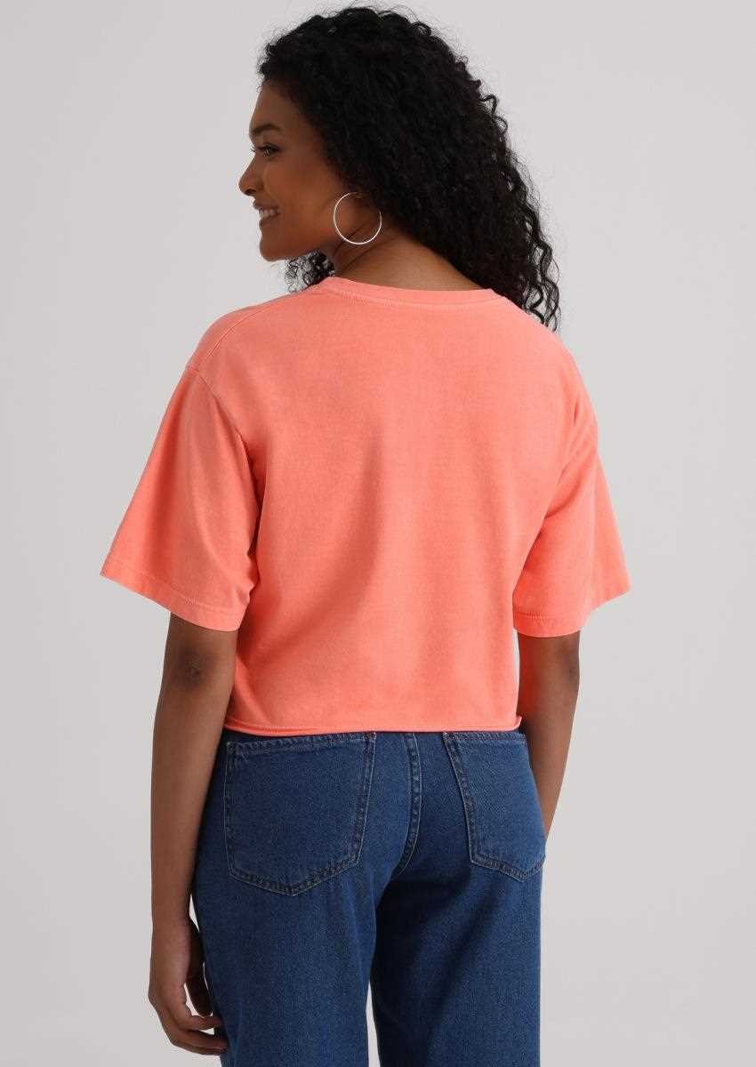 image_fb5c76a0-521b-4cc8-a6f2-31f7e41c70fd