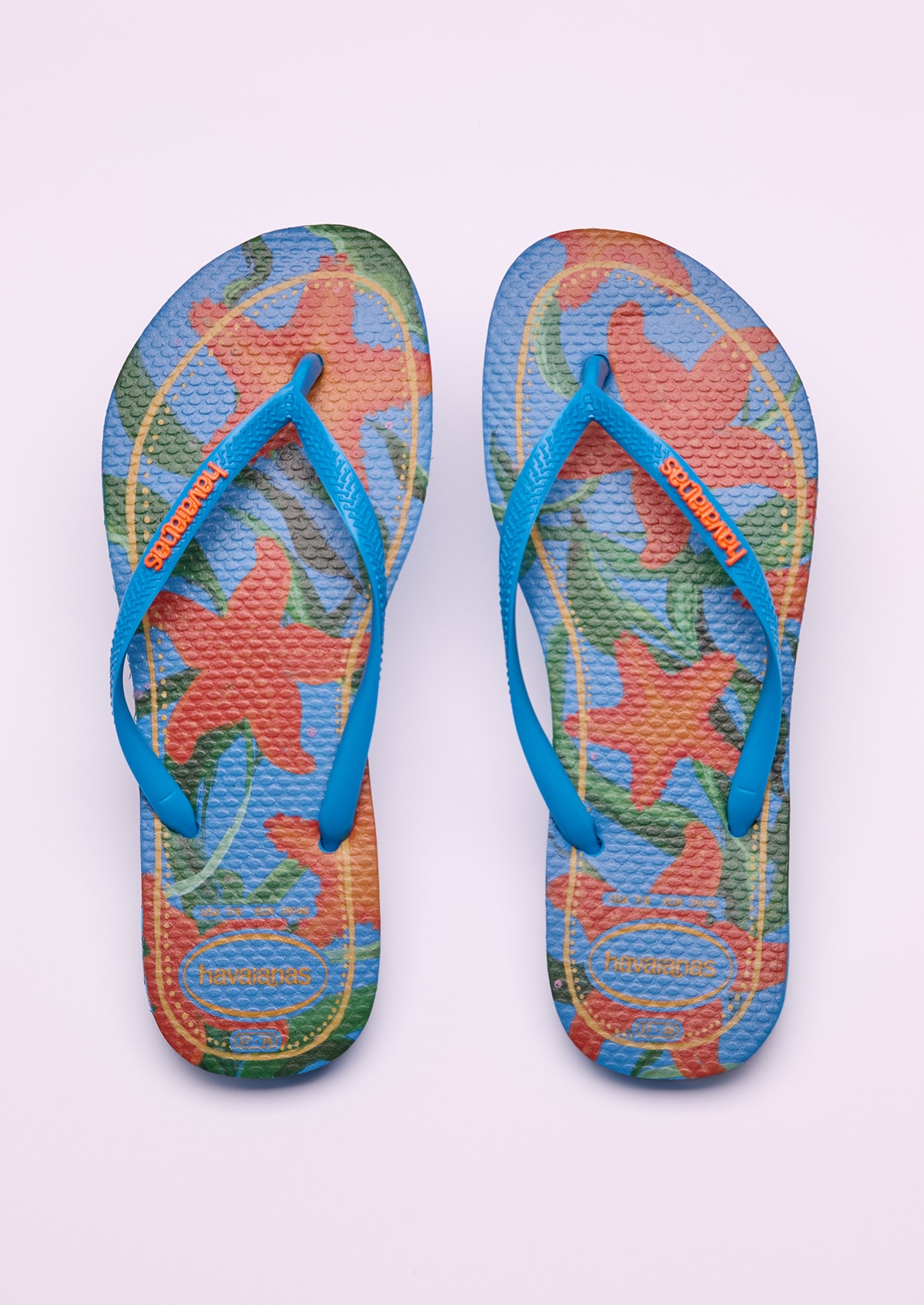 image_b609708c-d26a-42e7-a4fe-84a787a34d36