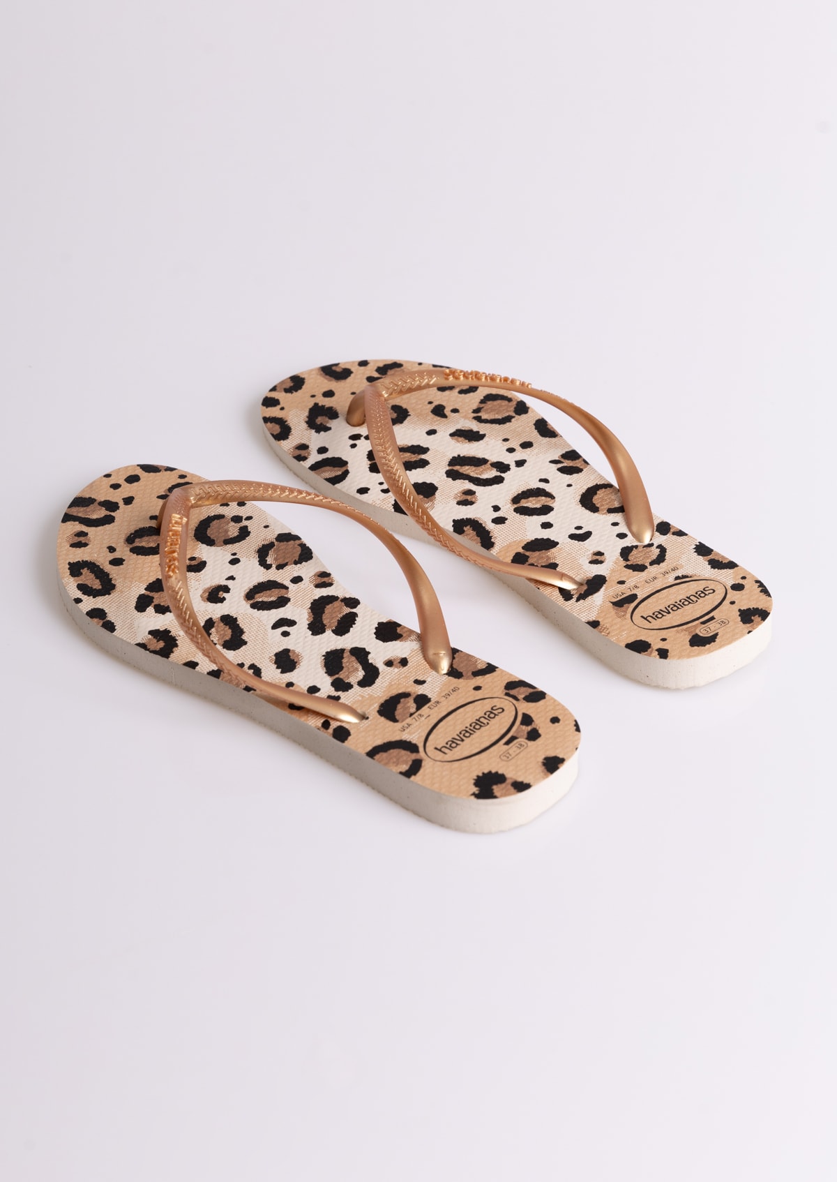 image_ebafdf40-a108-416a-b346-fb6487ed6713