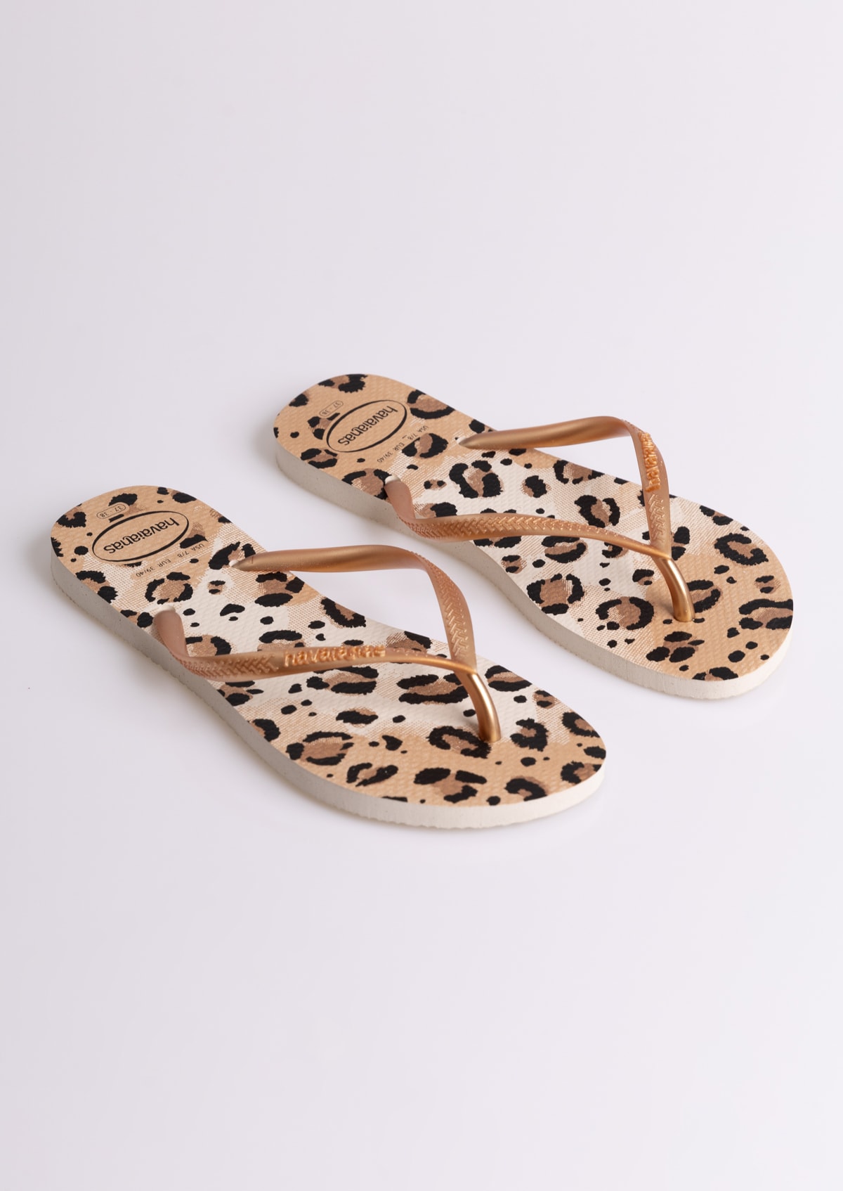 image_fe1a482c-6aaa-43cd-839e-5de883c41fc4