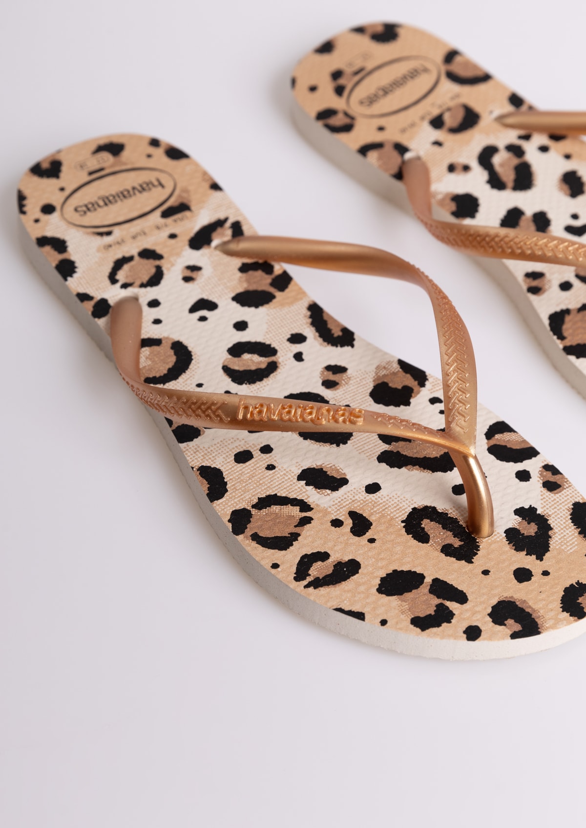 image_522aad74-c8a2-4439-84eb-35d55f85b4ec