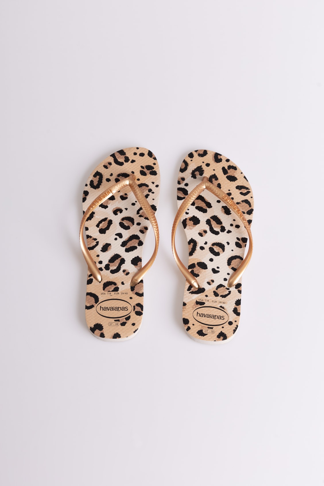 image_6b19a8ba-b77b-4a2a-9e88-e9eecfdf5efd