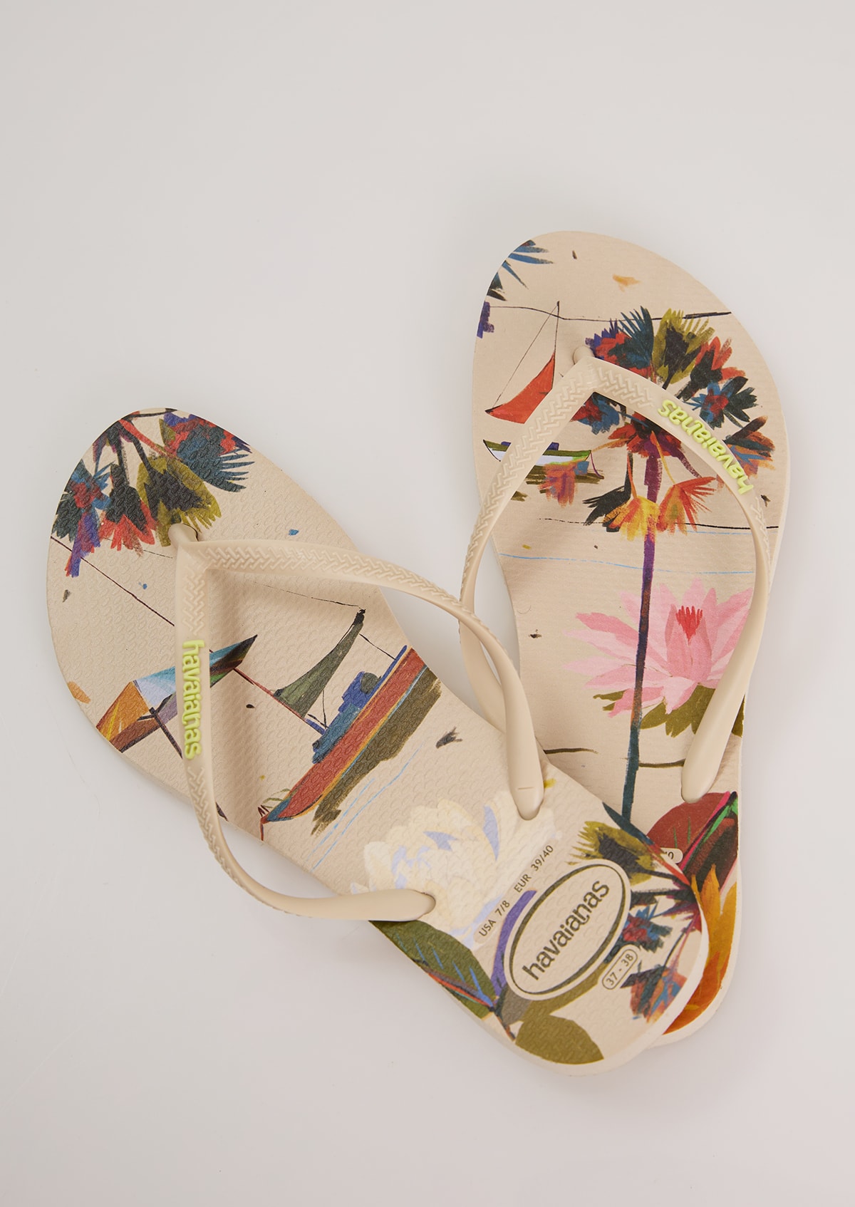 image_c8f55295-5775-4c71-a773-e292e9c17f0d