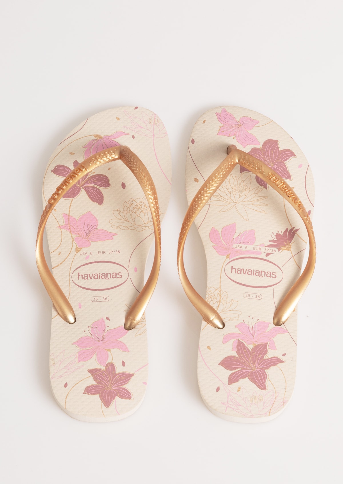 image_d73235ff-364a-4573-81b3-a840362bec91