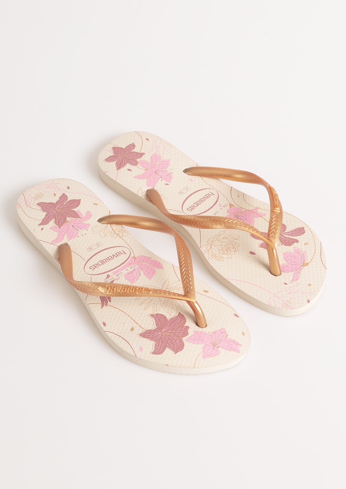 image_e024f088-b5ce-4afb-bdce-95070568f569