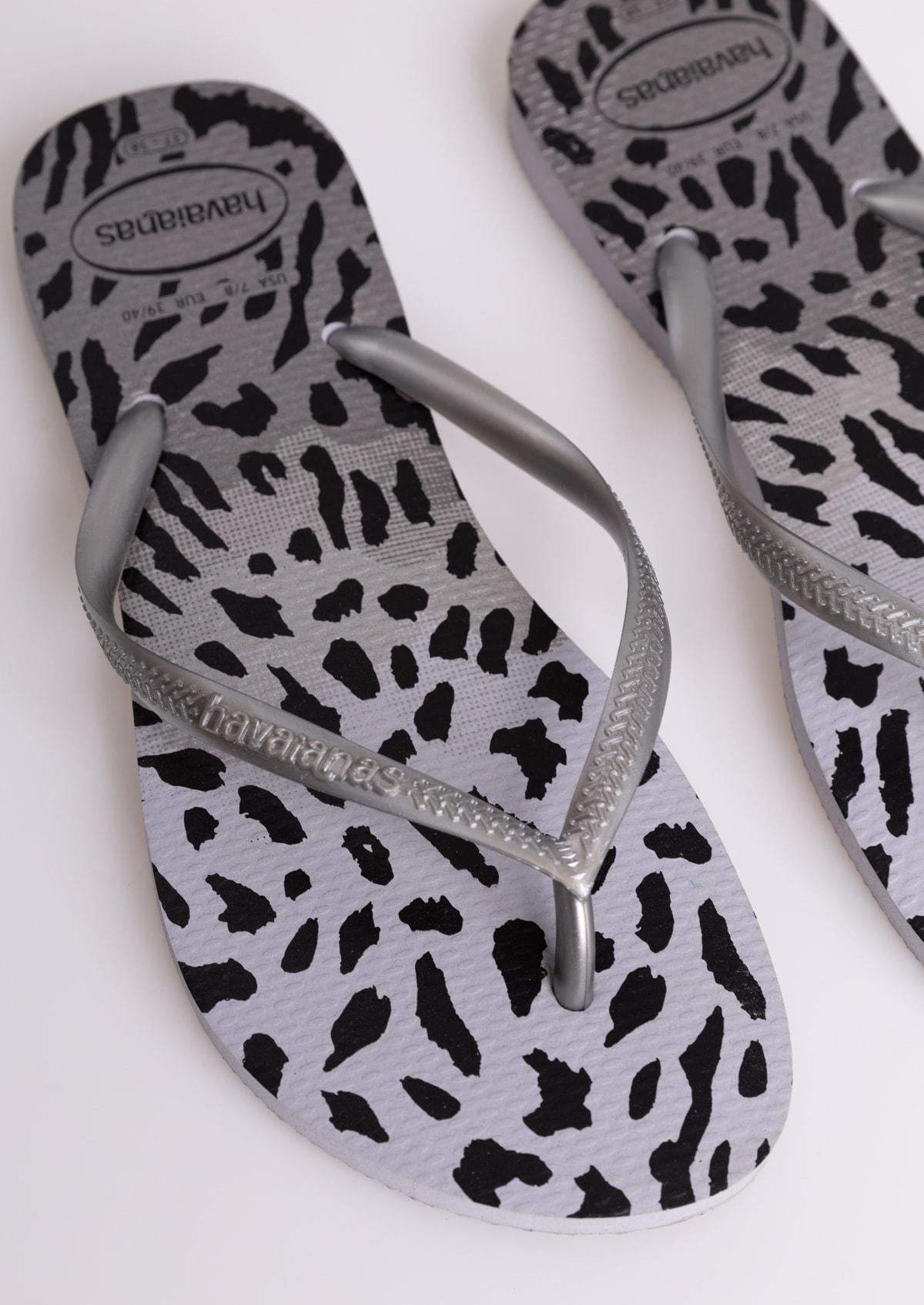 image_56912206-7b63-423e-9a0d-9d73317f5371