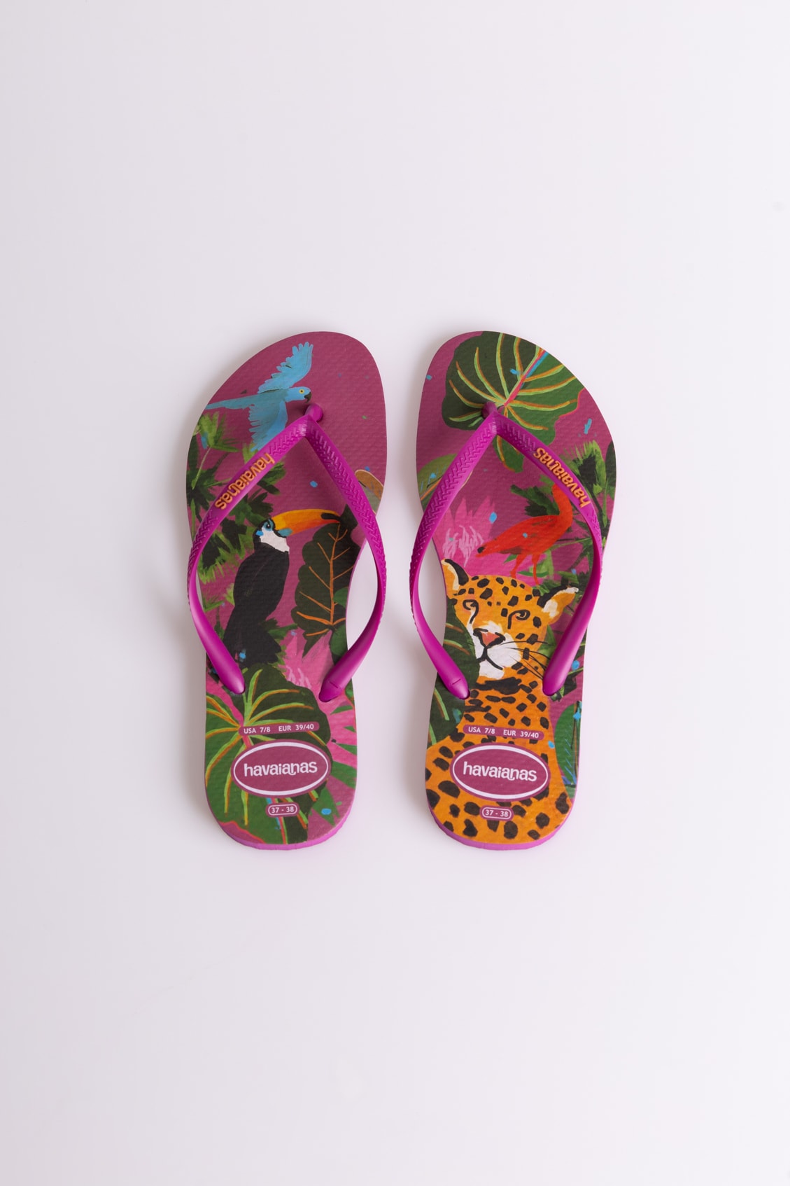 image_366f408b-afef-4715-b13b-5afae02bdfb7