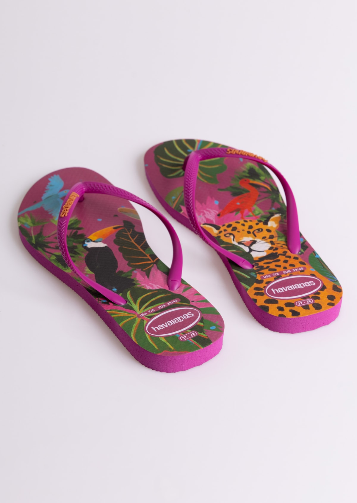 image_46701567-81e9-471f-b908-69e841fe89a9