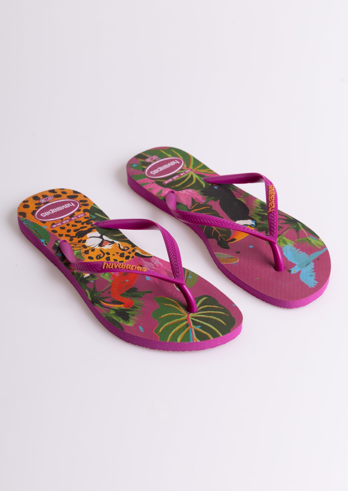 image_93e14dde-ef08-483d-b099-862183e9e40e