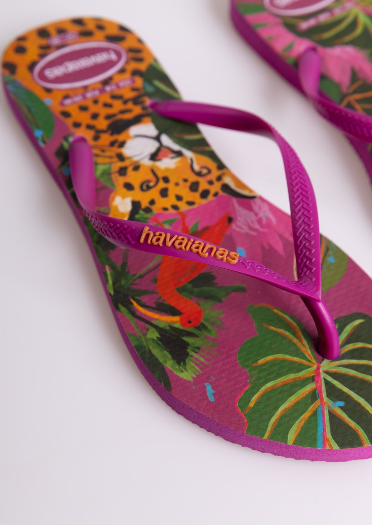 image_dc292eee-6888-470d-b6bb-c52e65c20a63