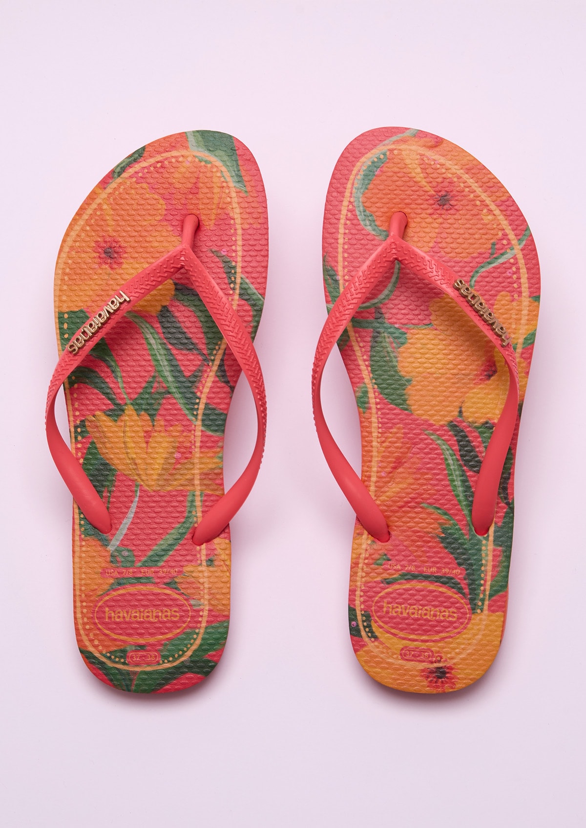 image_d0073028-4536-4788-9764-d1d74702a461