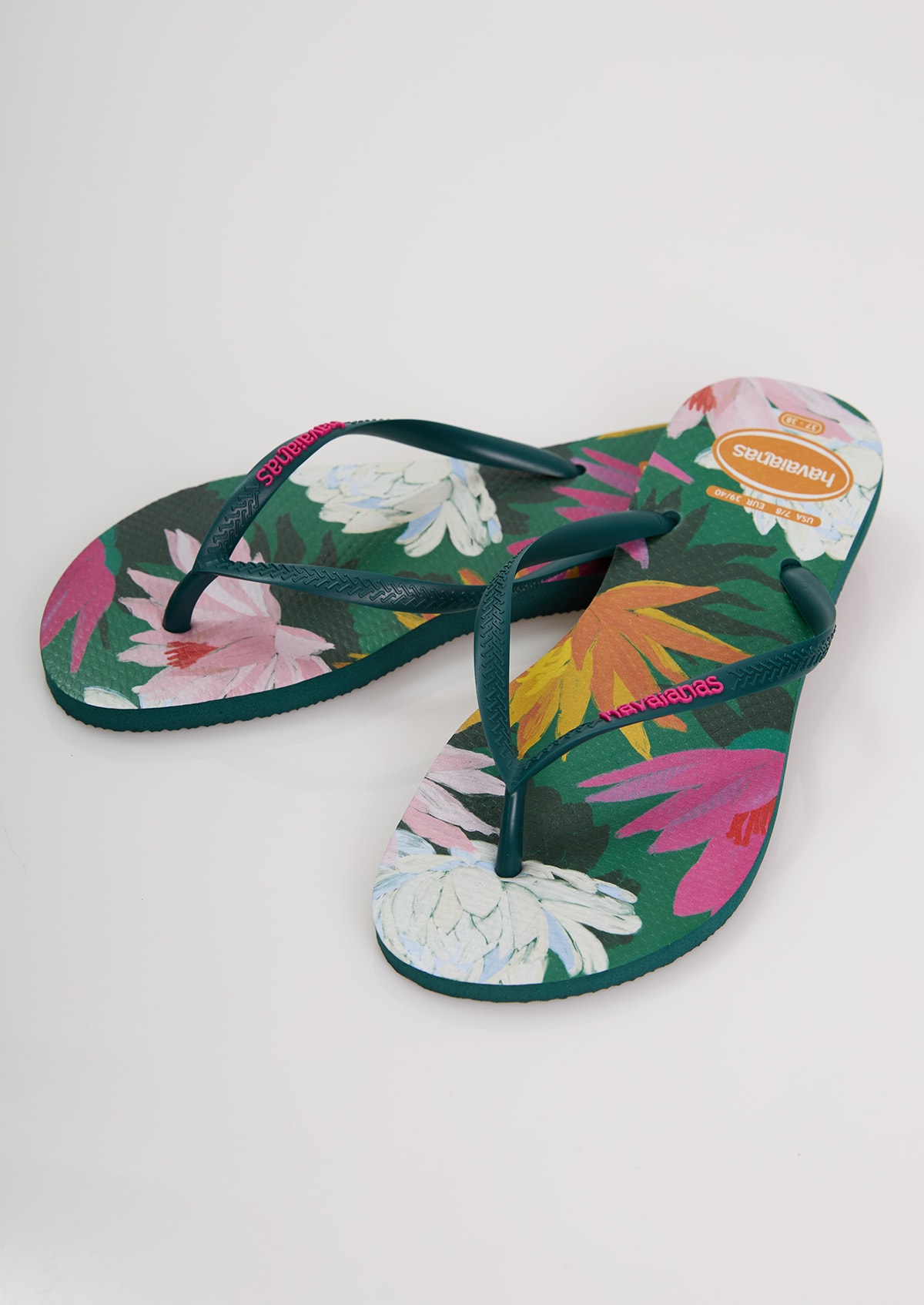 image_66a11e5b-5b50-425f-be80-1bde3456972d