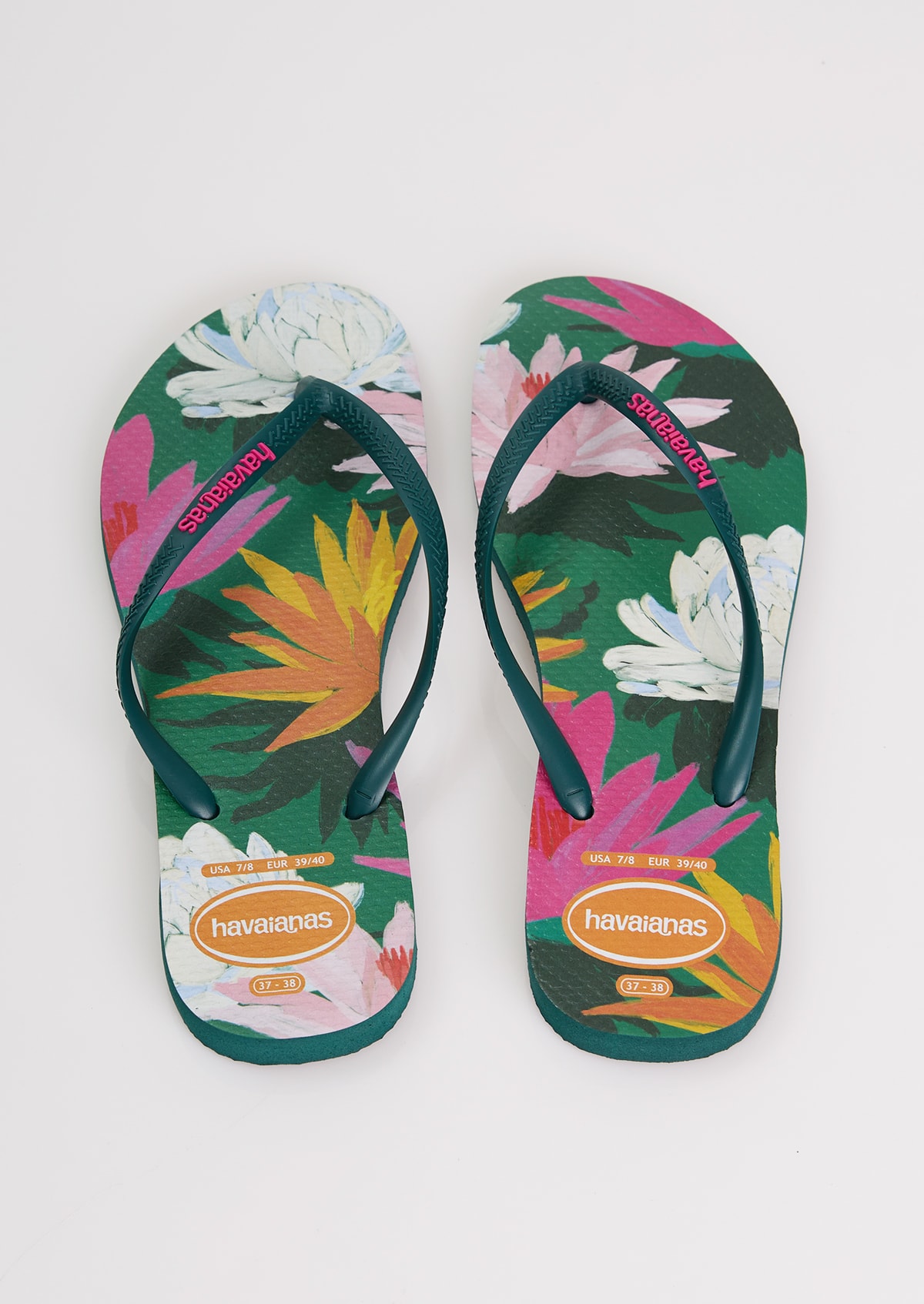 image_f117f14a-5bd8-4786-940a-21e040346685