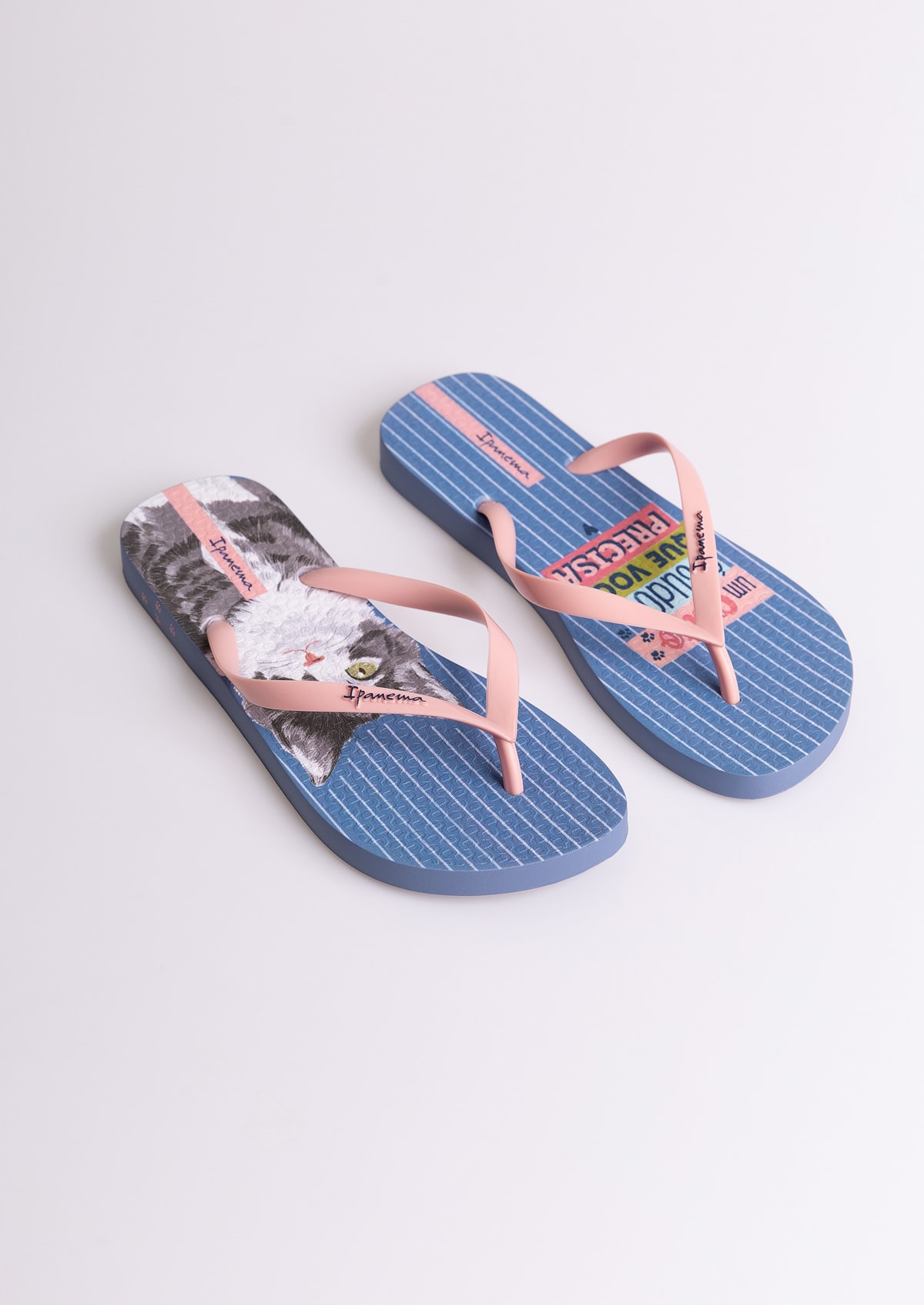 image_d3eb7a13-92ee-4bbe-bfe3-fbbbf5296231