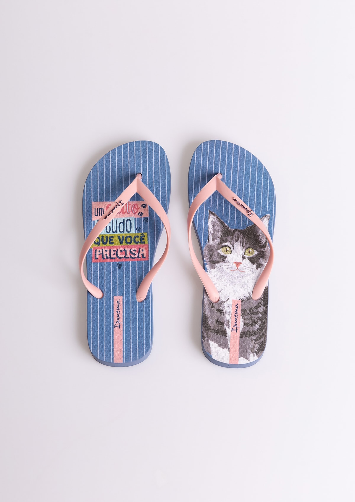 image_496e4f16-0987-4842-8168-eec882c84053