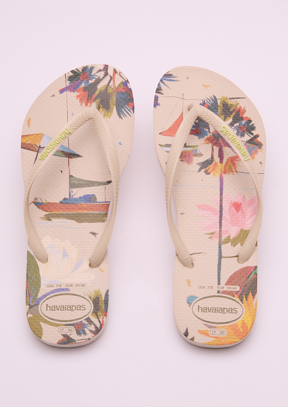 image_09c8aa74-e161-4e38-9147-cfb28700e7ff