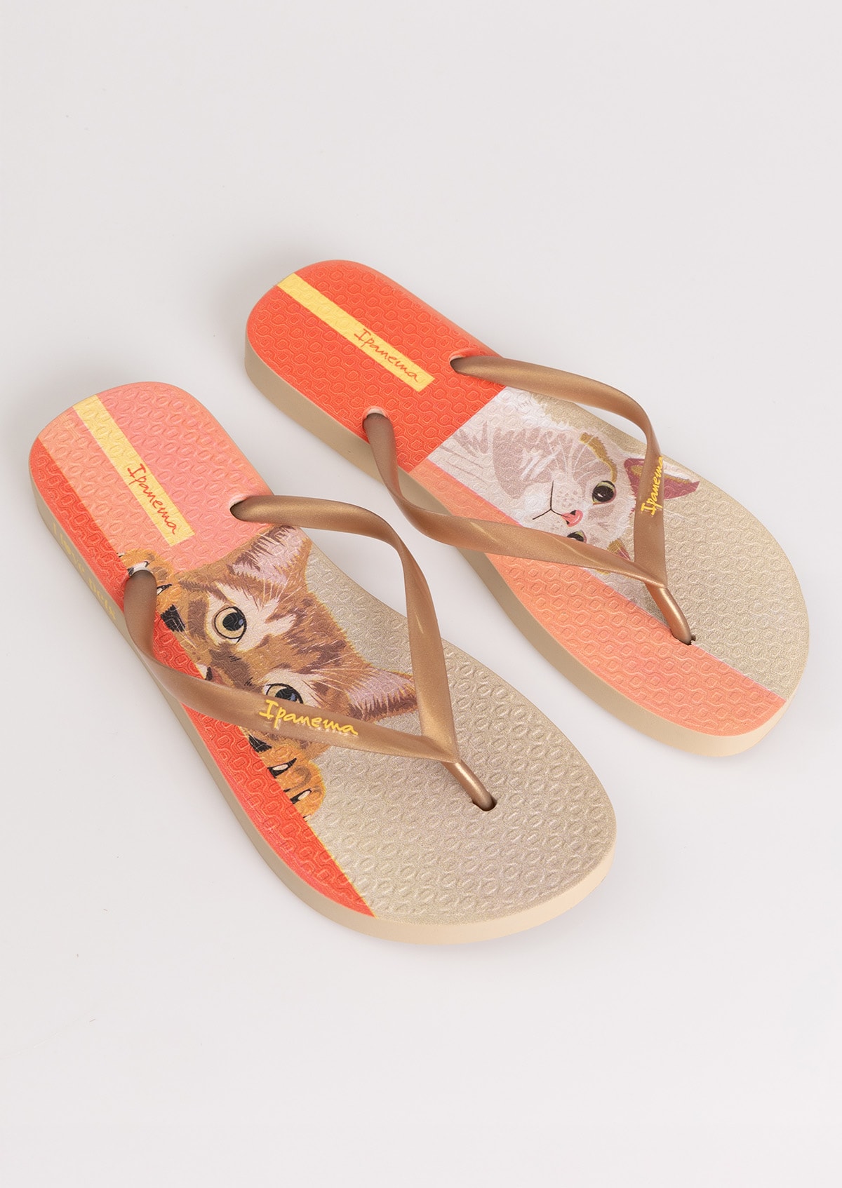 image_762d668d-eb26-4668-b0f0-e64c7ce24b39