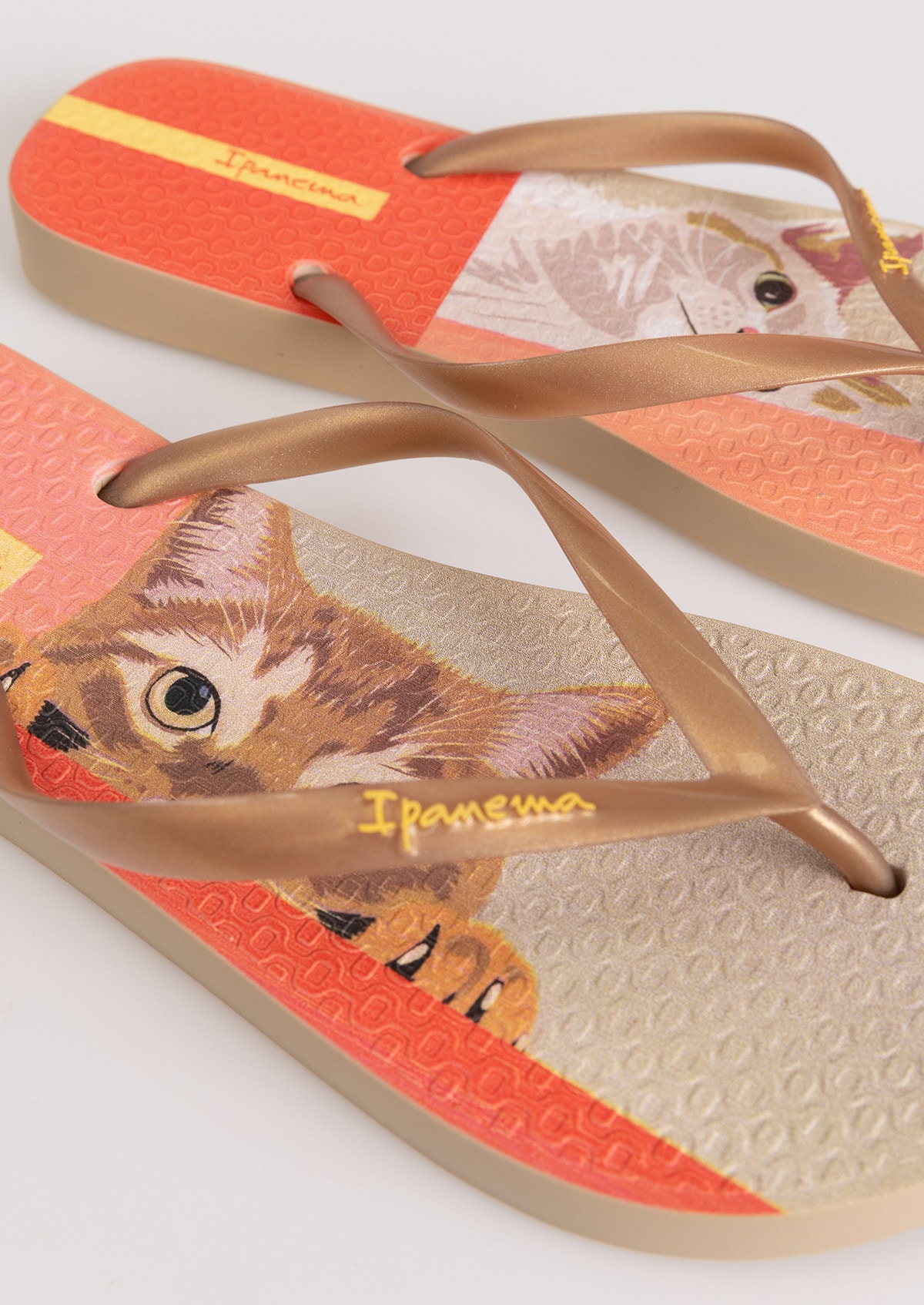 image_643744f3-afeb-472b-961e-a150776ece7a