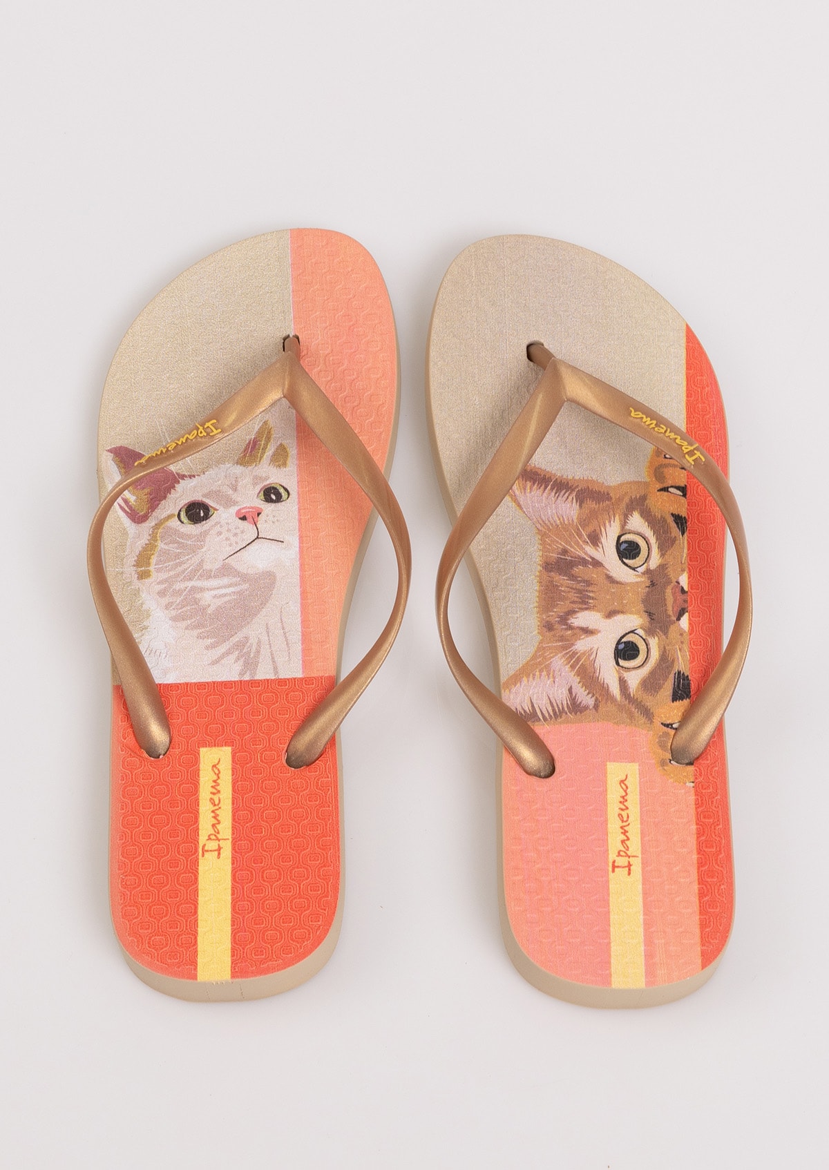 image_6f1a43e4-596b-490c-ba7e-2560198ddfab