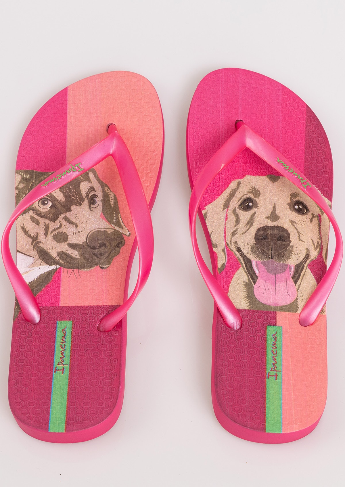 image_7c589279-d190-4318-a8dc-ec0a6266c646