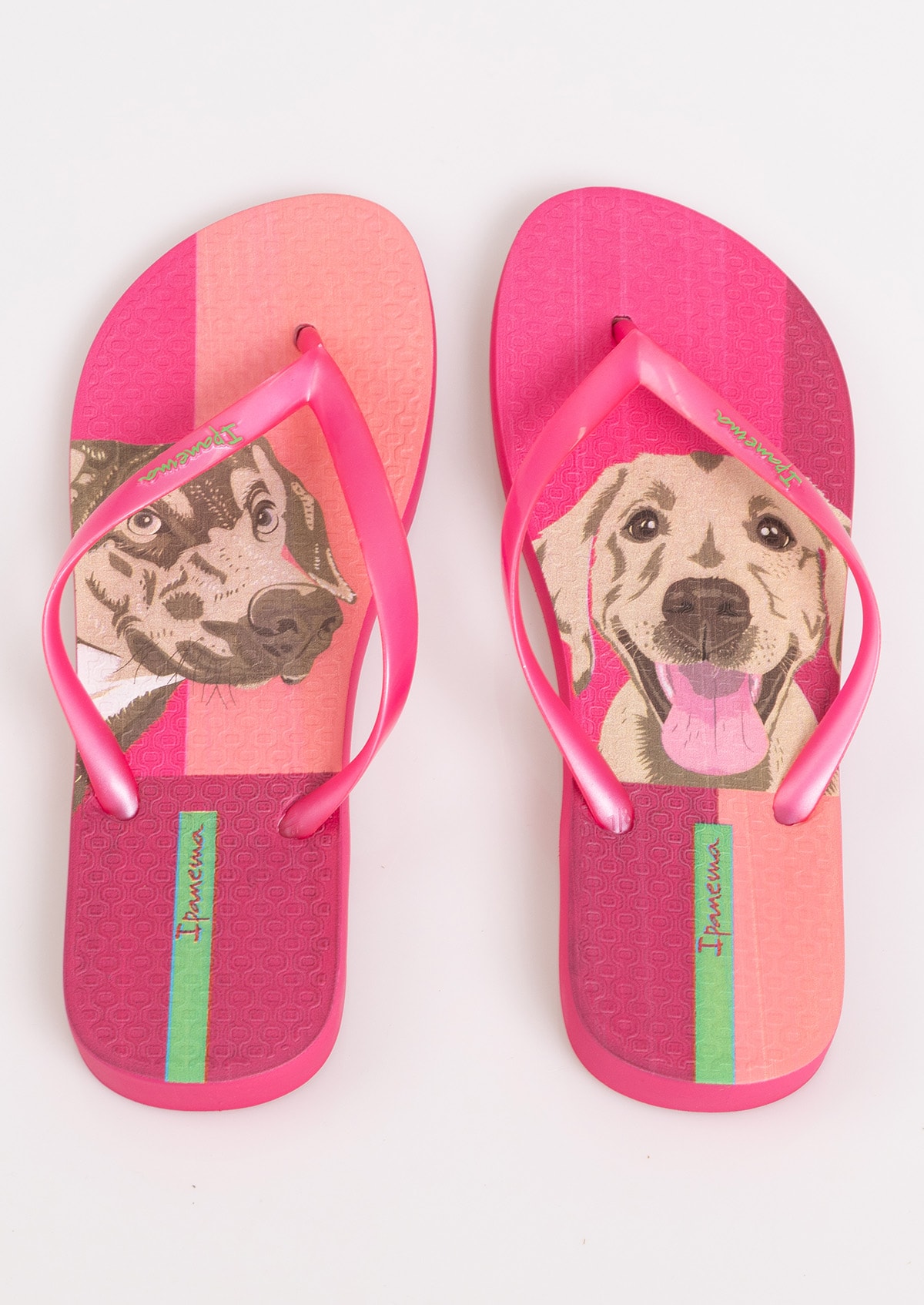 image_db004c37-e339-4eaf-88c9-13d942461610