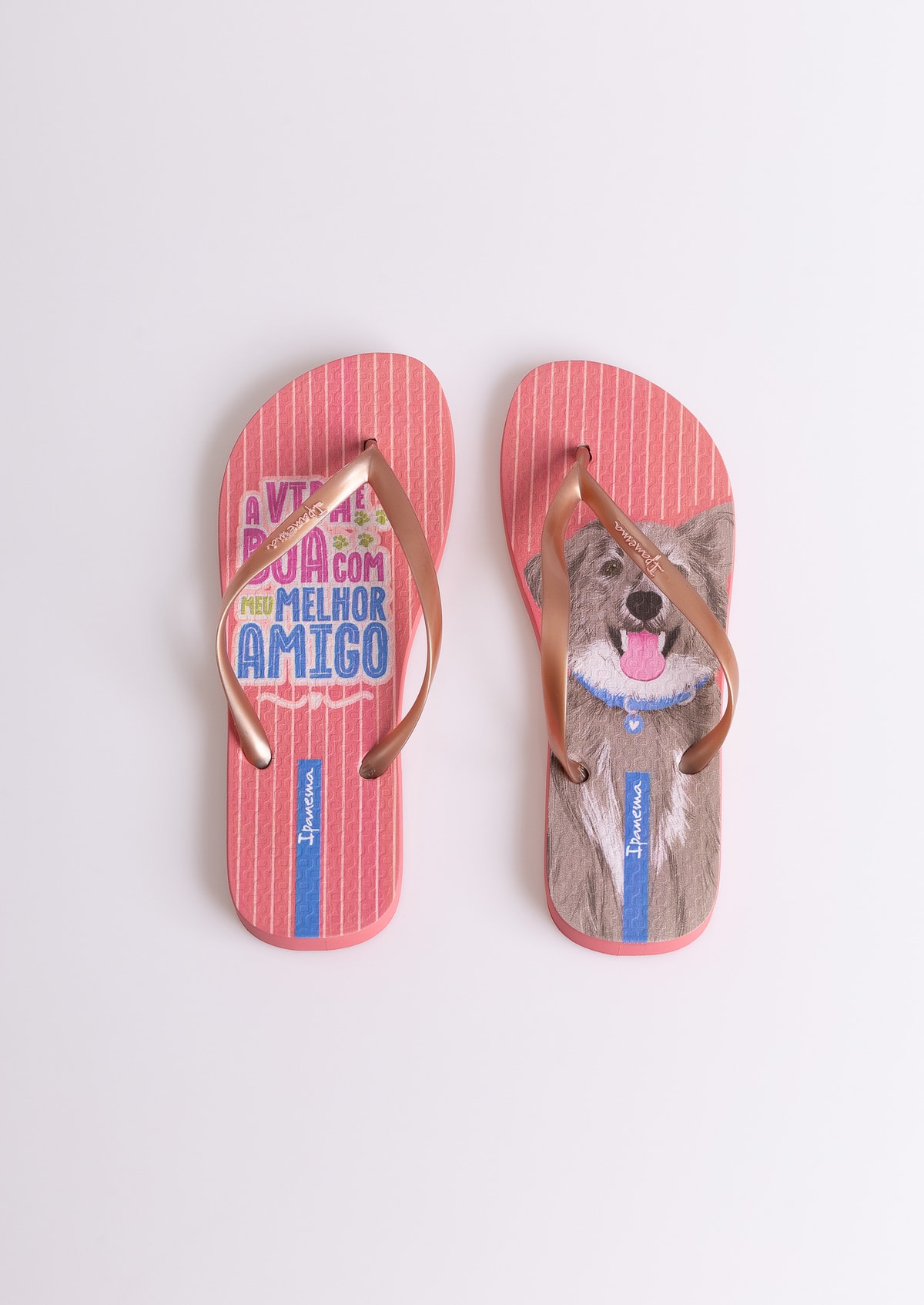 image_8b769150-8b10-4c66-b3c4-3fd4770ddb53