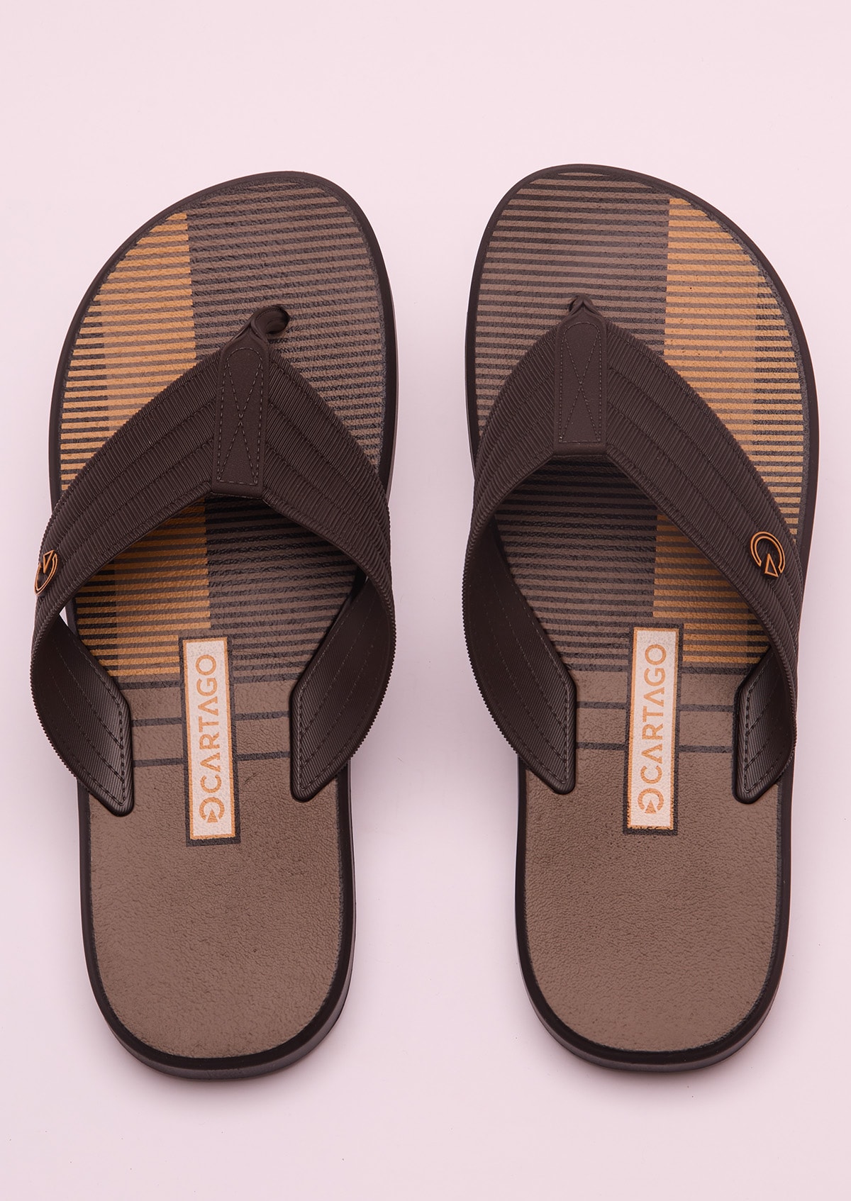 image_46d740c5-e12b-4073-84c7-e2101190748c