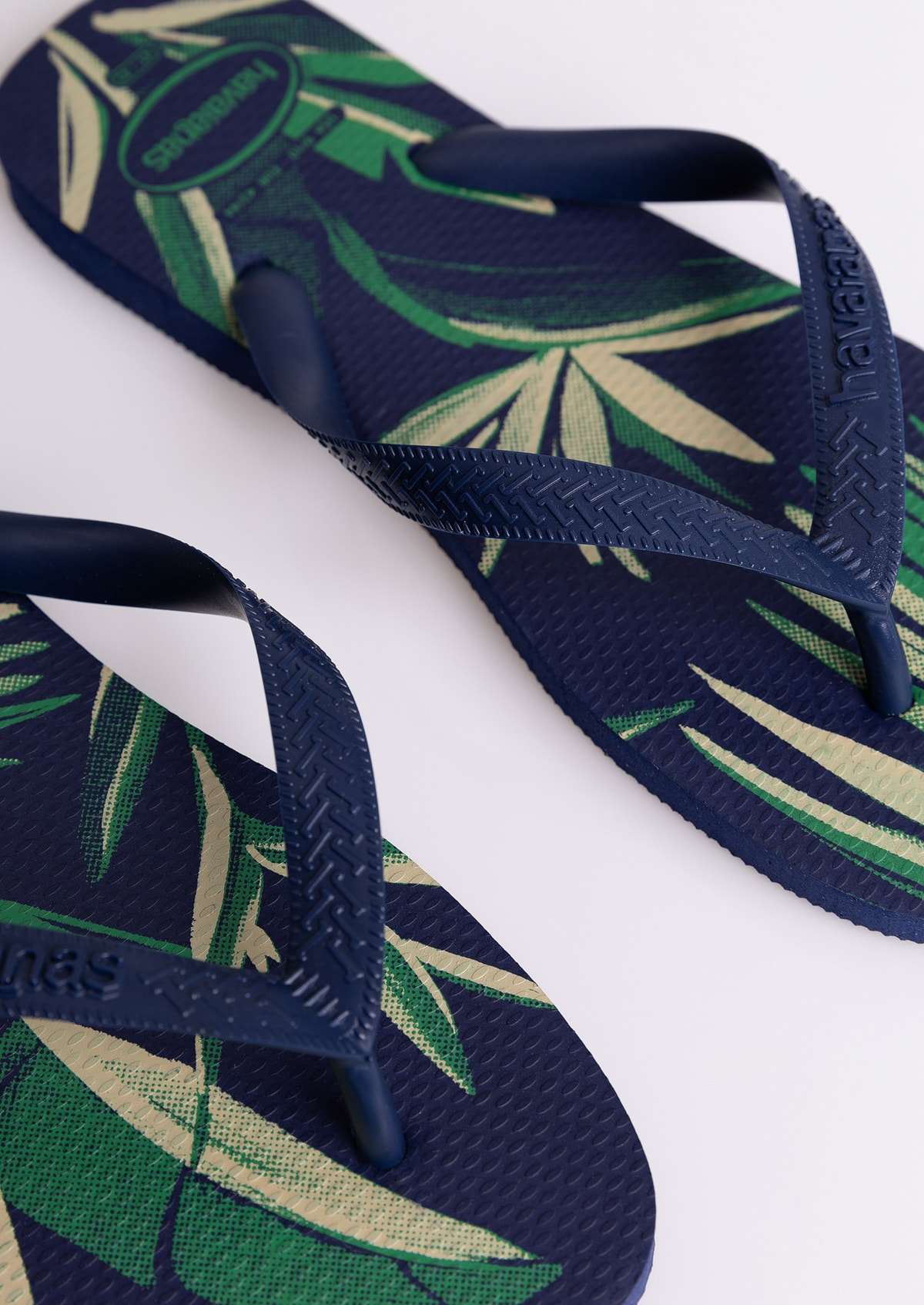 image_0dccf585-169a-47f2-a13f-c80338671a7b