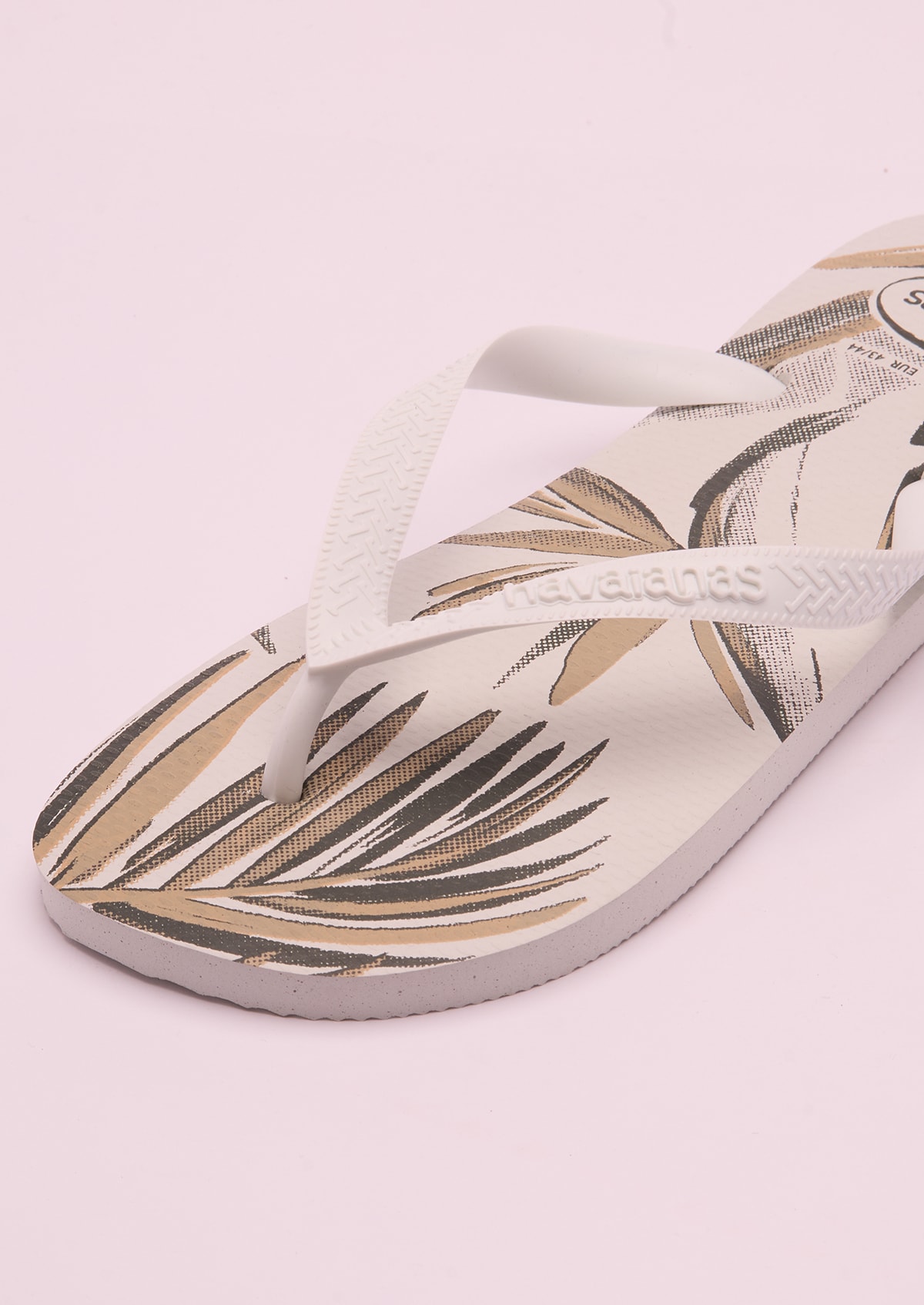 image_00296017-6445-49ba-8604-b06003668d99