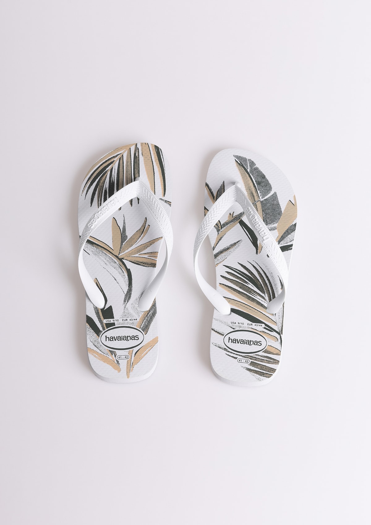 image_fcc750d5-cc8d-44ce-9ed8-c95b485d2abf