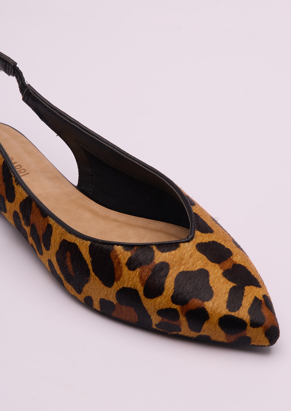 image_80942944-859b-4f17-aa1e-3c12ac95ee10