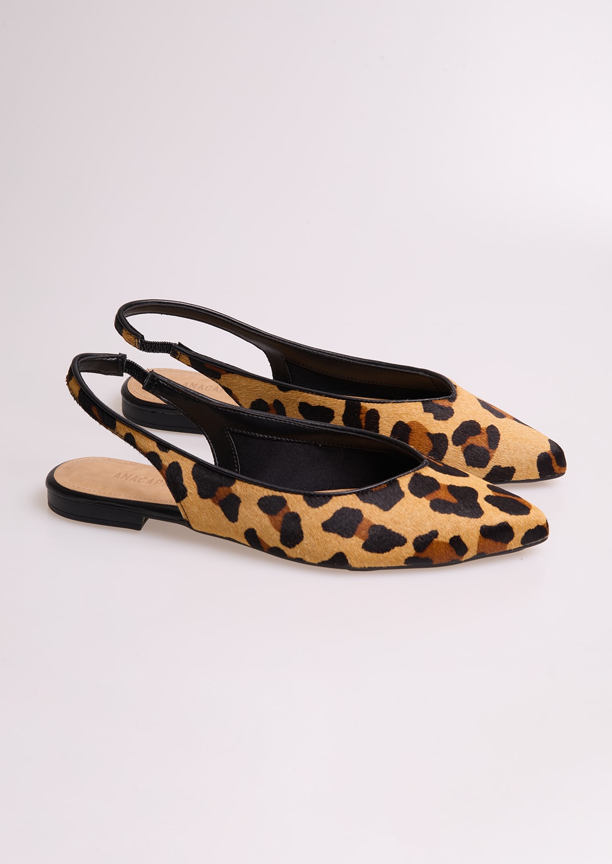 image_cd81e612-e948-4574-889f-2c8ce57964e0